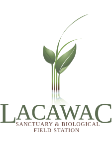 Lacawac Sanctuary